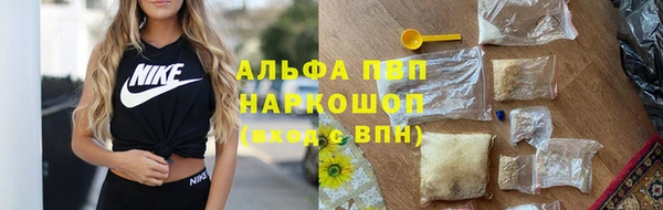 хмурый Аркадак