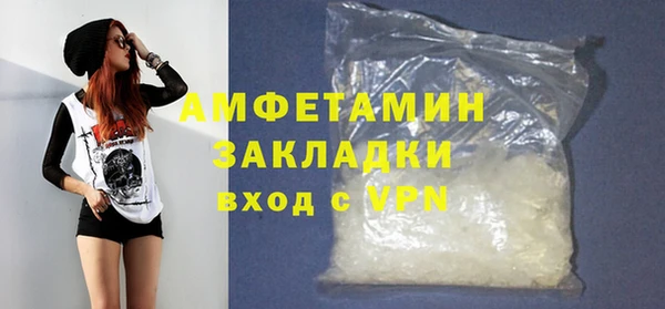 хмурый Аркадак