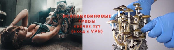 марки lsd Балабаново