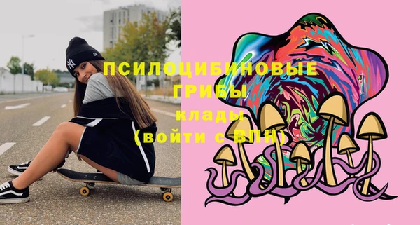 первитин Арсеньев
