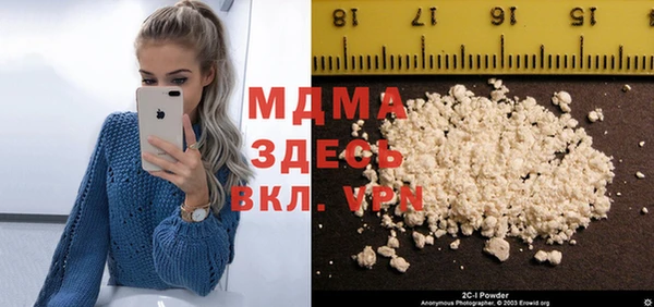 хмурый Аркадак