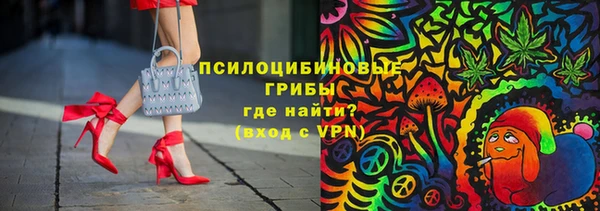 хмурый Аркадак