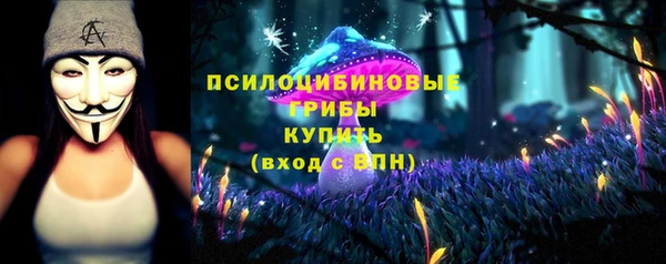молекула духа Балахна