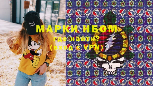 хмурый Аркадак