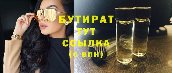 хмурый Аркадак