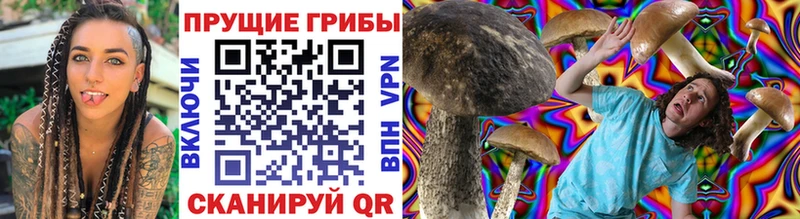 Псилоцибиновые грибы Psilocybe Афипский